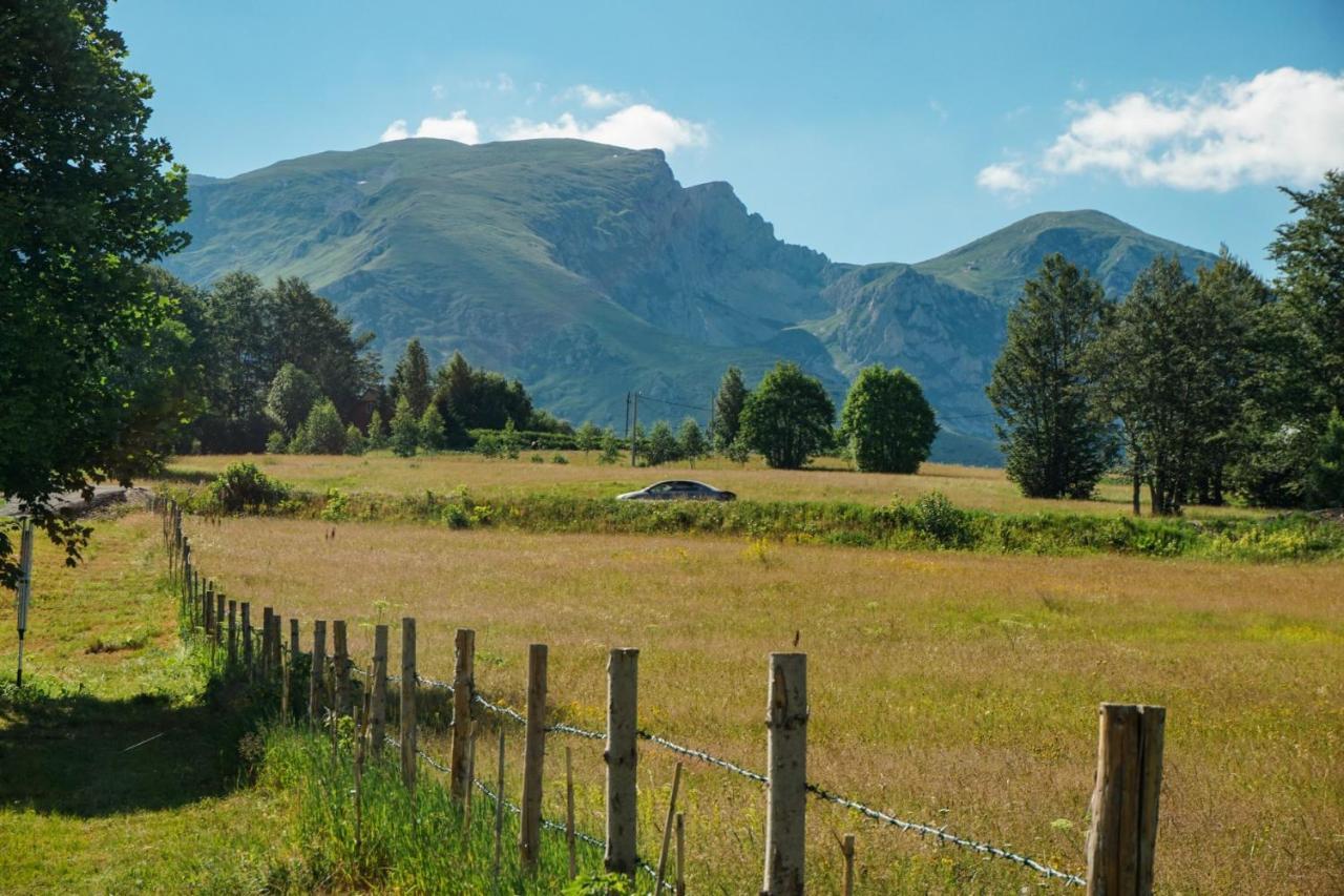 Durmitor Nest Krstajic