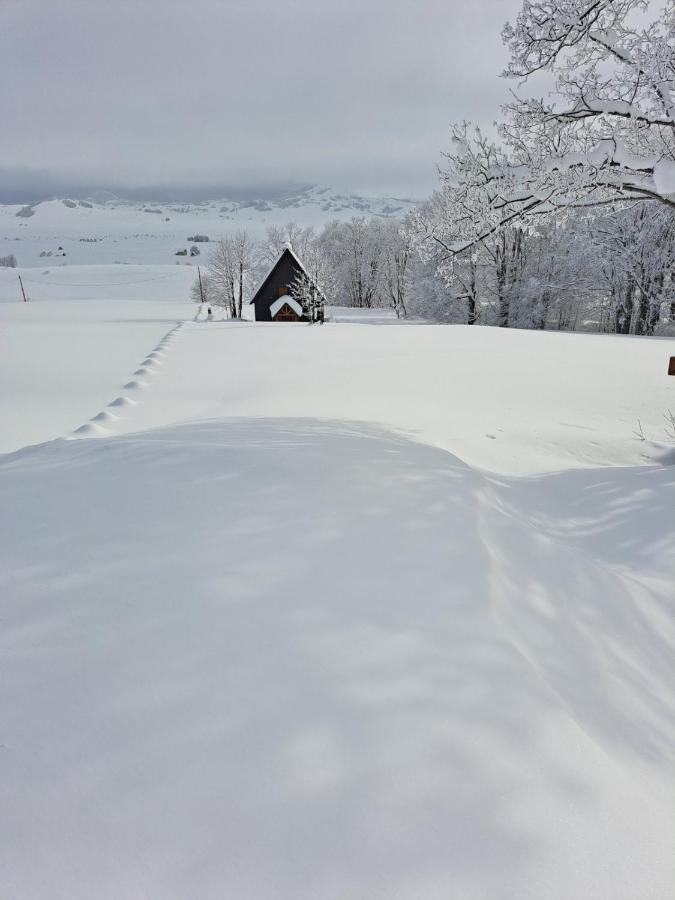 Durmitor Nest Krstajic Zabljak (Zabljak)