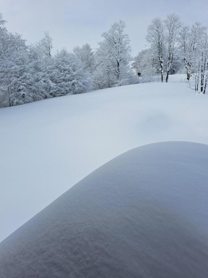 Durmitor Nest Krstajic * Zabljak (Zabljak)